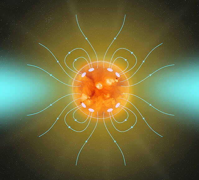 Stellar Magnetic Field